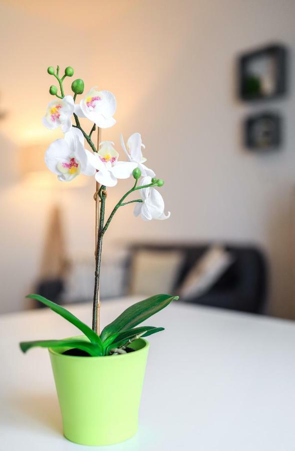 Apartamento Le Duc De *